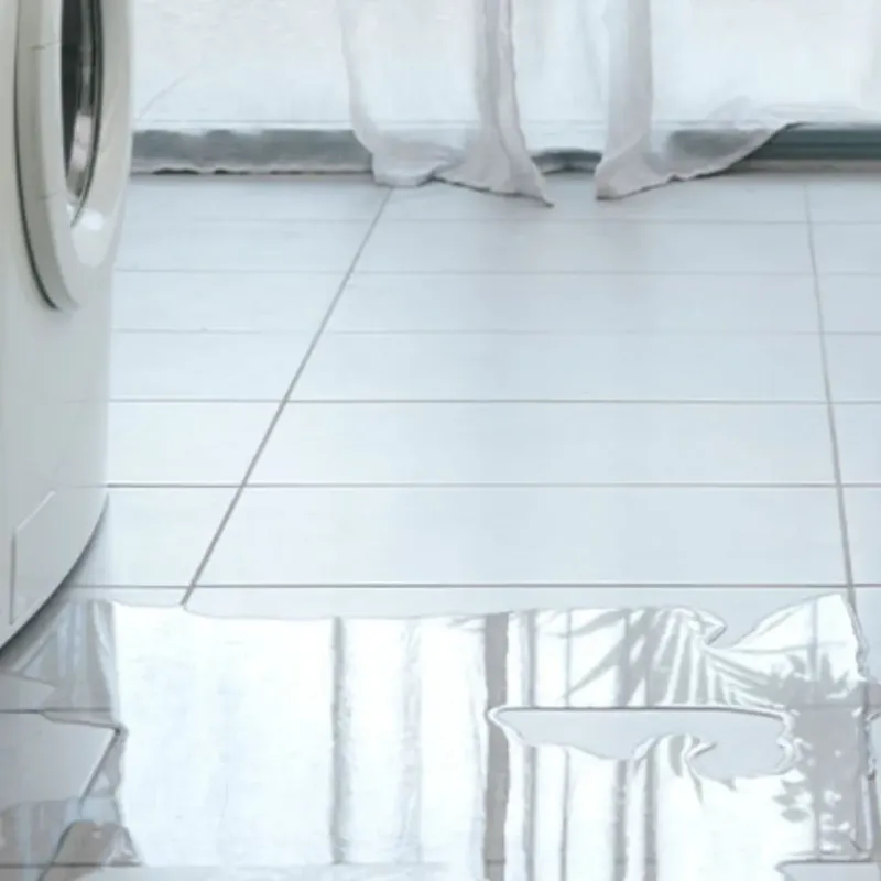 Appliance Leak Cleanup in North Edwards, CA