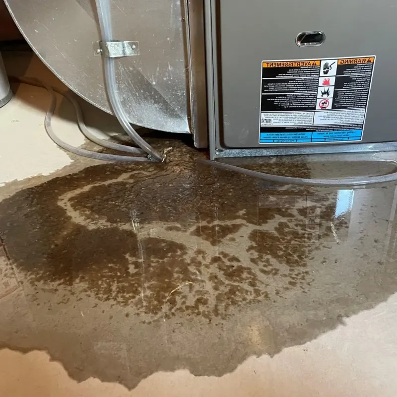 Pipe Burst and Leak Restoration in North Edwards, CA